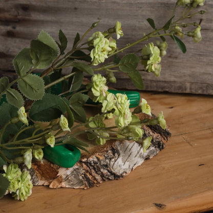 Green Wild Meadow Rose image 3