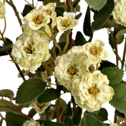 Green Wild Meadow Rose image 5