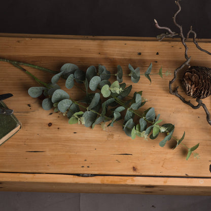 Eucalyptus Spray image 2