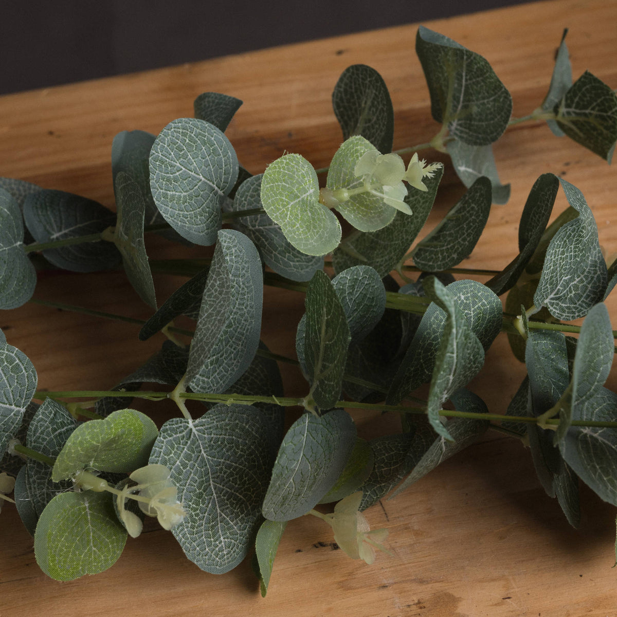 Eucalyptus Spray image 3