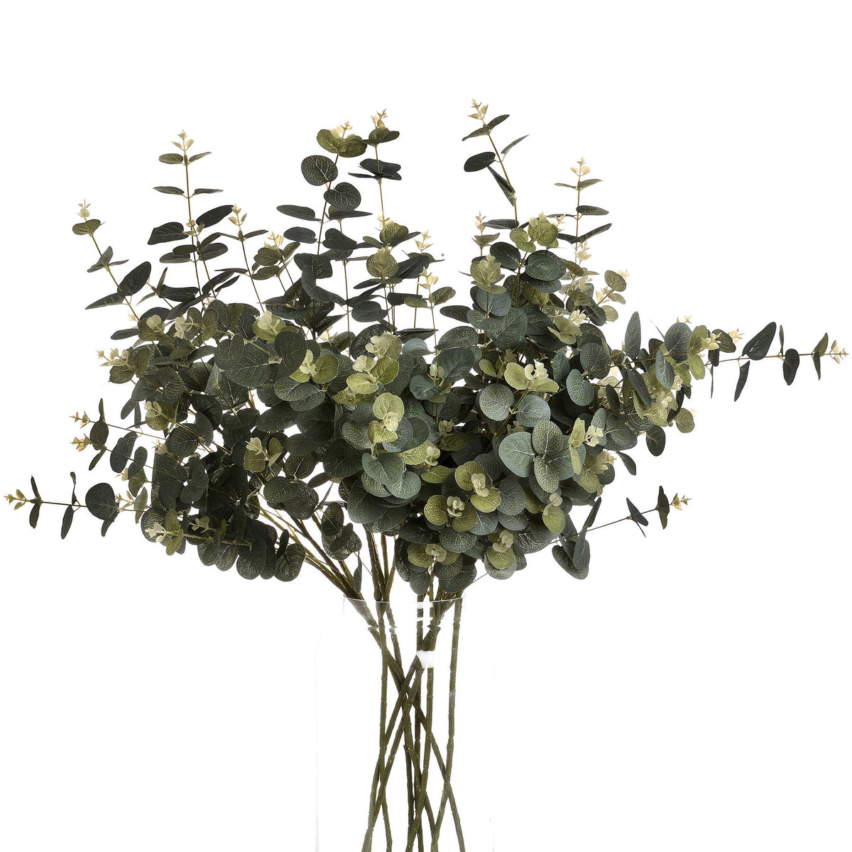 Eucalyptus Spray image 4