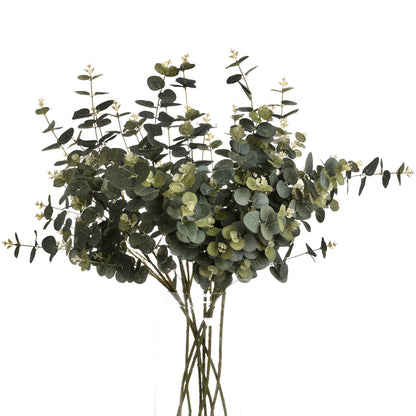 Eucalyptus Spray image 4