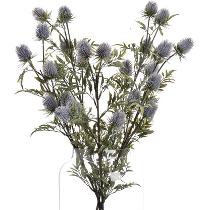 Eryngium Thistle image 4