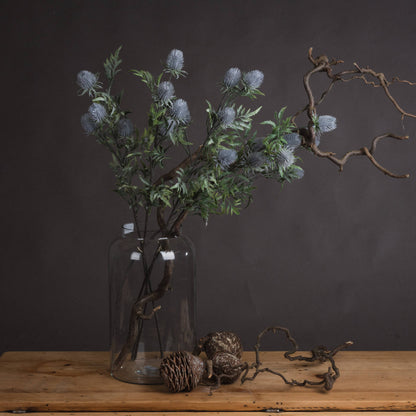 Eryngium Thistle image 1