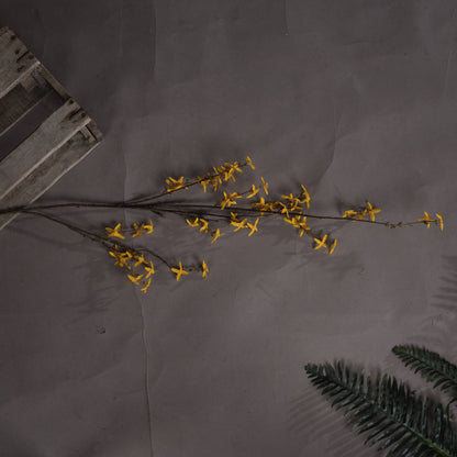 Forsythia image 2