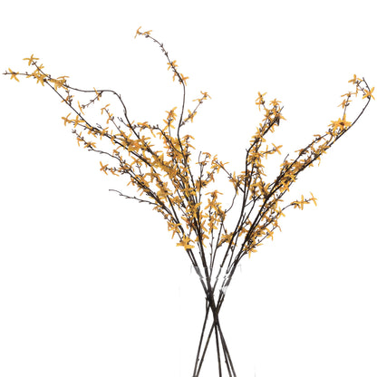 Forsythia image 4