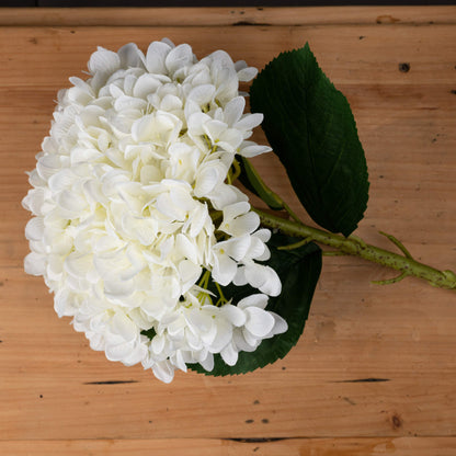 Oversized White Hydrangea image 2