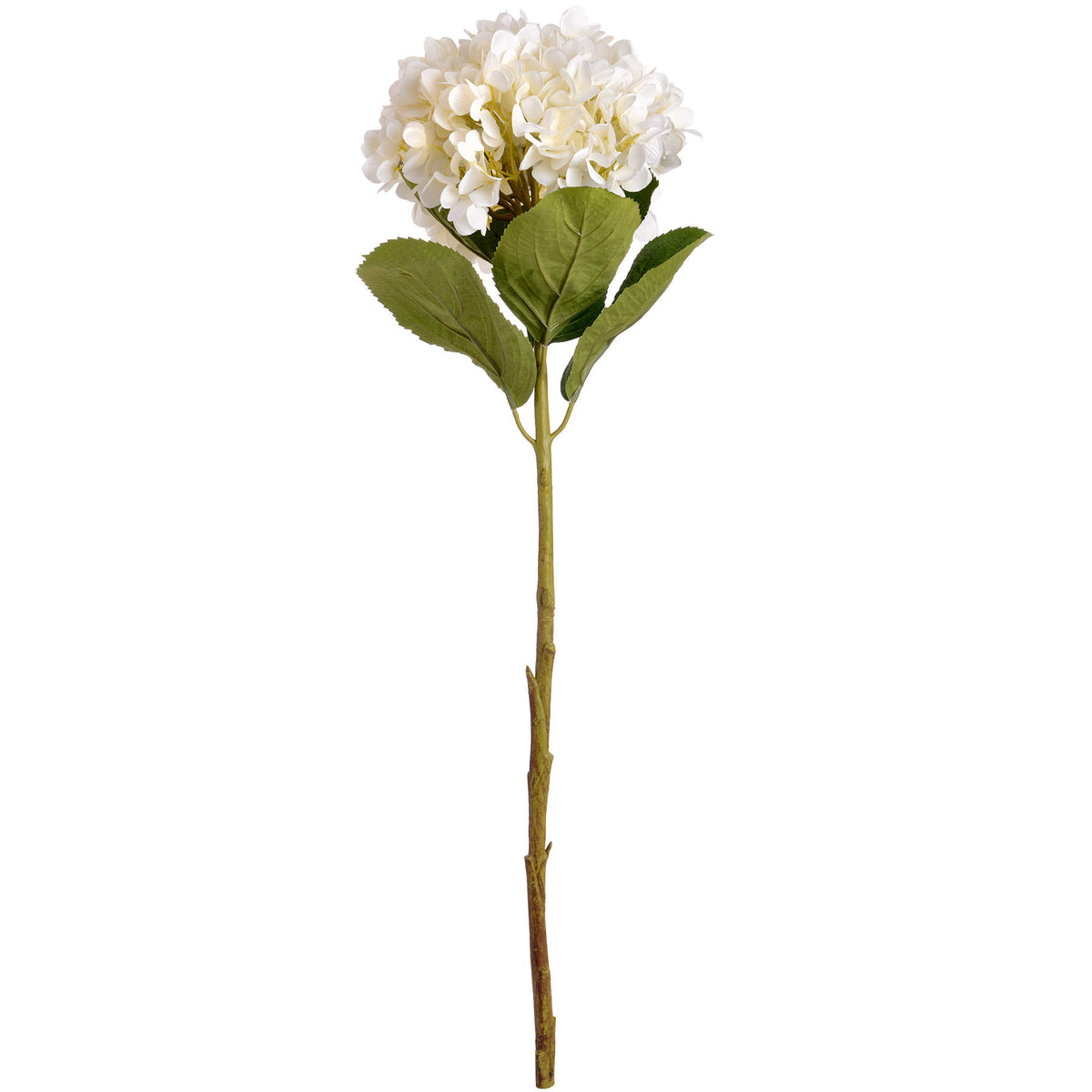 Oversized White Hydrangea image 4