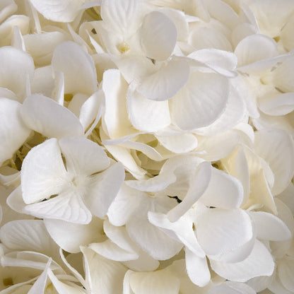 Oversized White Hydrangea image 5