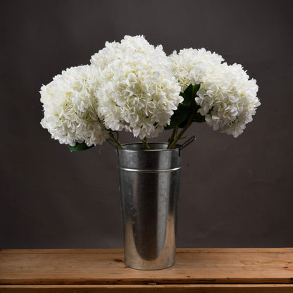 Oversized White Hydrangea image 1