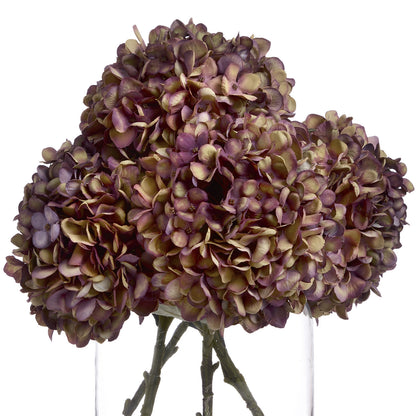 Autumn Burgundy Hydrangea image 4