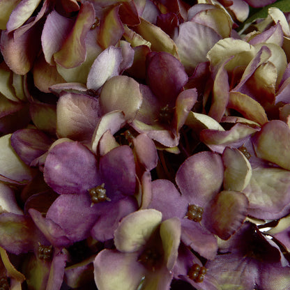 Autumn Burgundy Hydrangea image 5