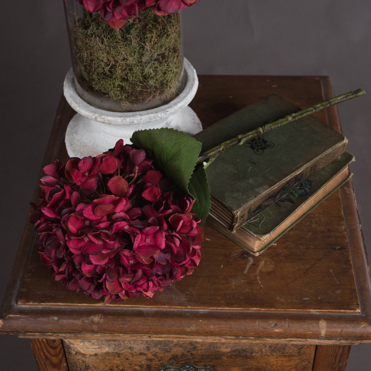 Autumn Ruby Hydrangea image 2