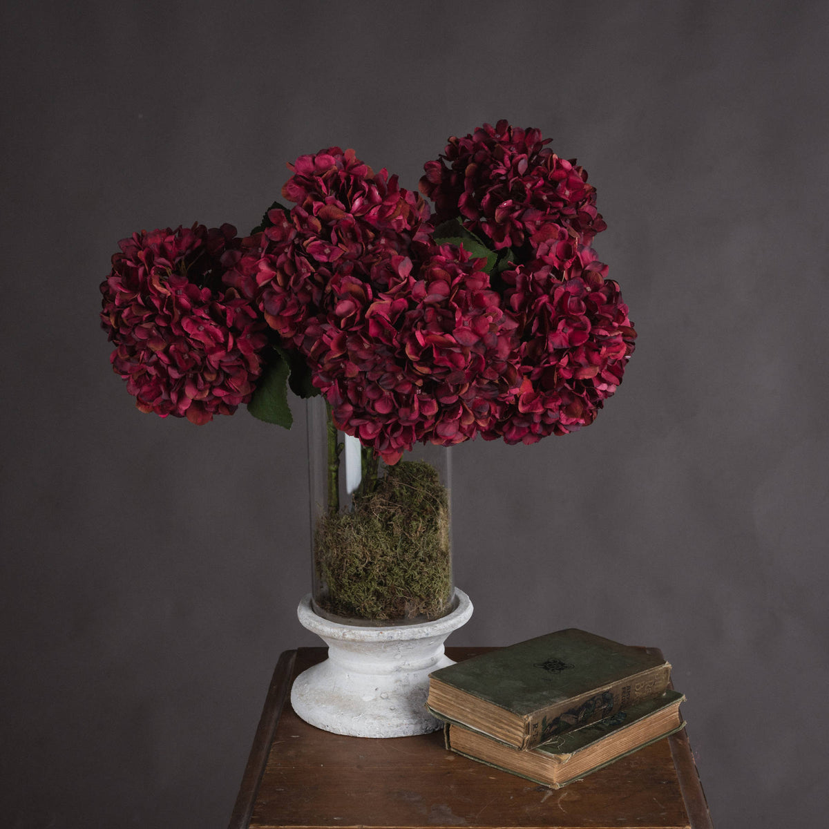 Autumn Ruby Hydrangea image 1