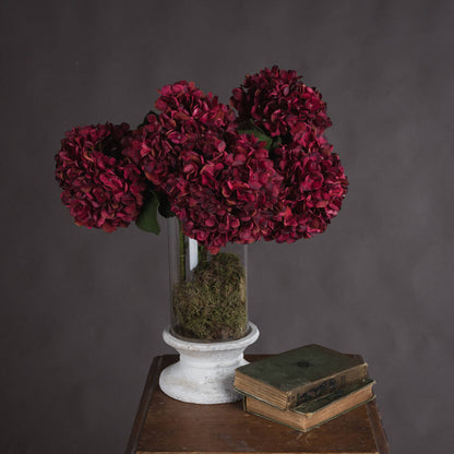 Autumn Ruby Hydrangea image 1