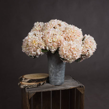 Autumn White Hydrangea image 1