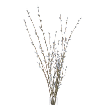 Pussy Willow Branch image 4