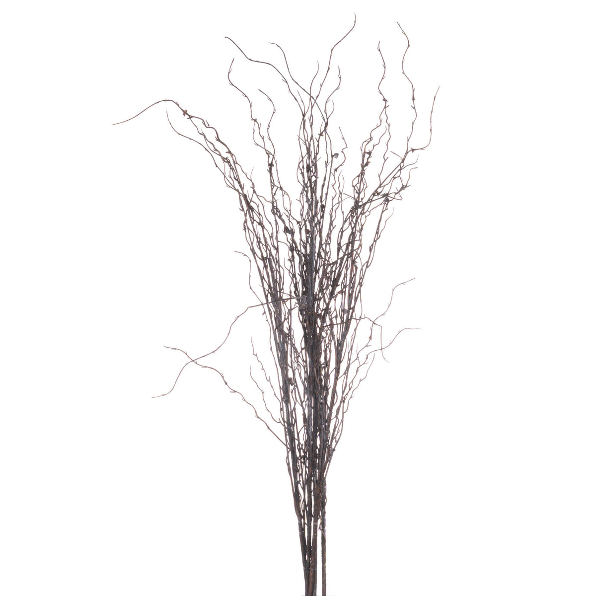 Branch Spray image 4