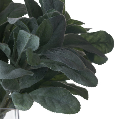 Lambs Ear Spray image 4
