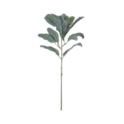Lambs Ear Spray image 5