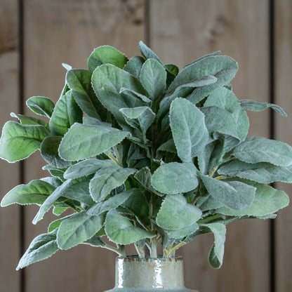 Lambs Ear Spray image 1