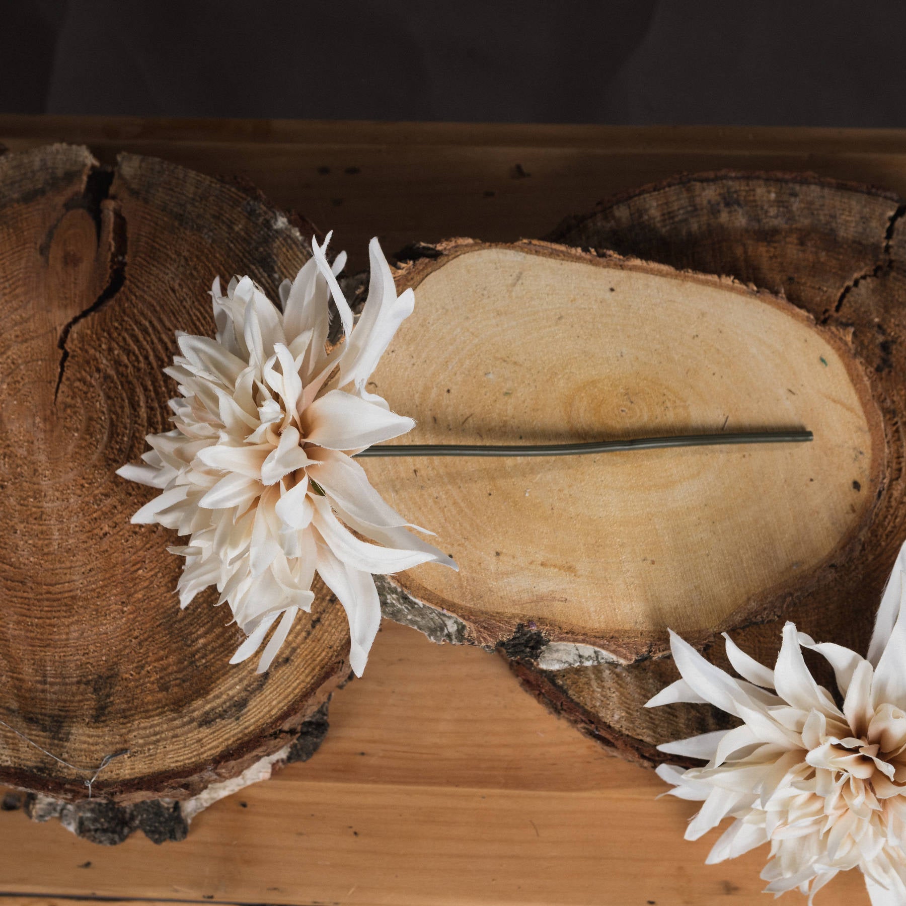Café Au Lait Flower