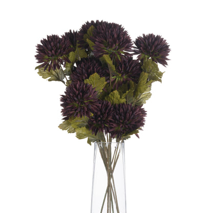 Chocolate Chrysanthemum image 4