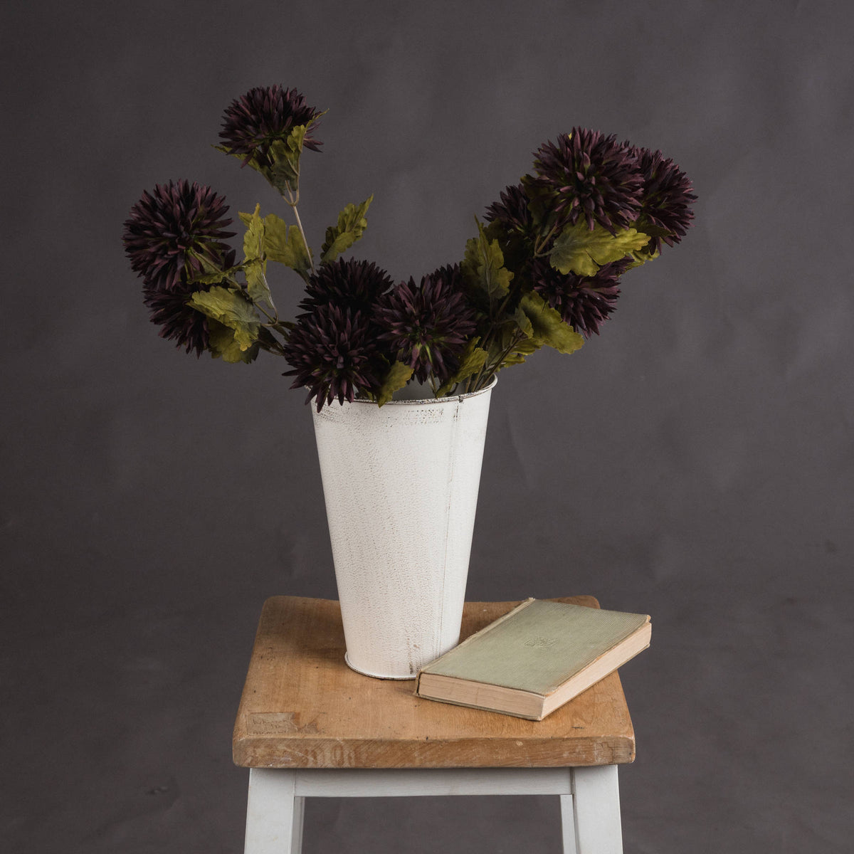 Chocolate Chrysanthemum image 1