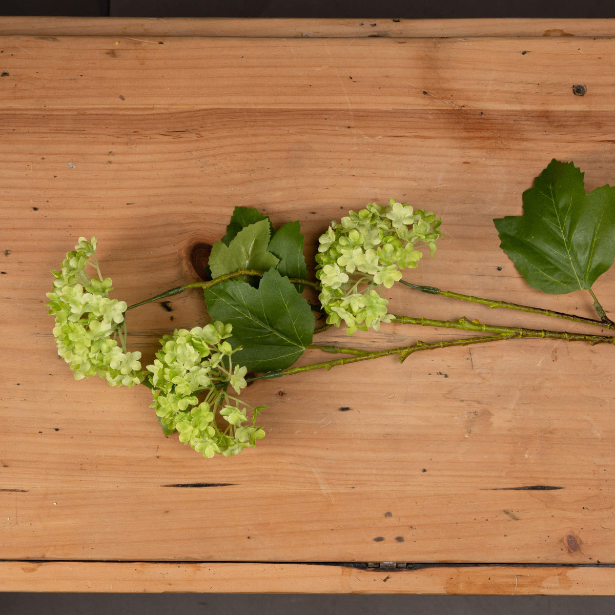 Green Viburnum Spray image 2
