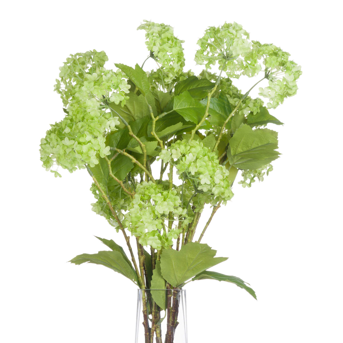 Green Viburnum Spray image 3