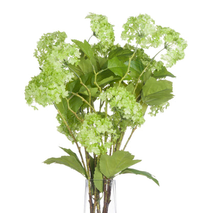 Green Viburnum Spray image 3