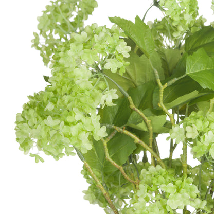 Green Viburnum Spray image 5