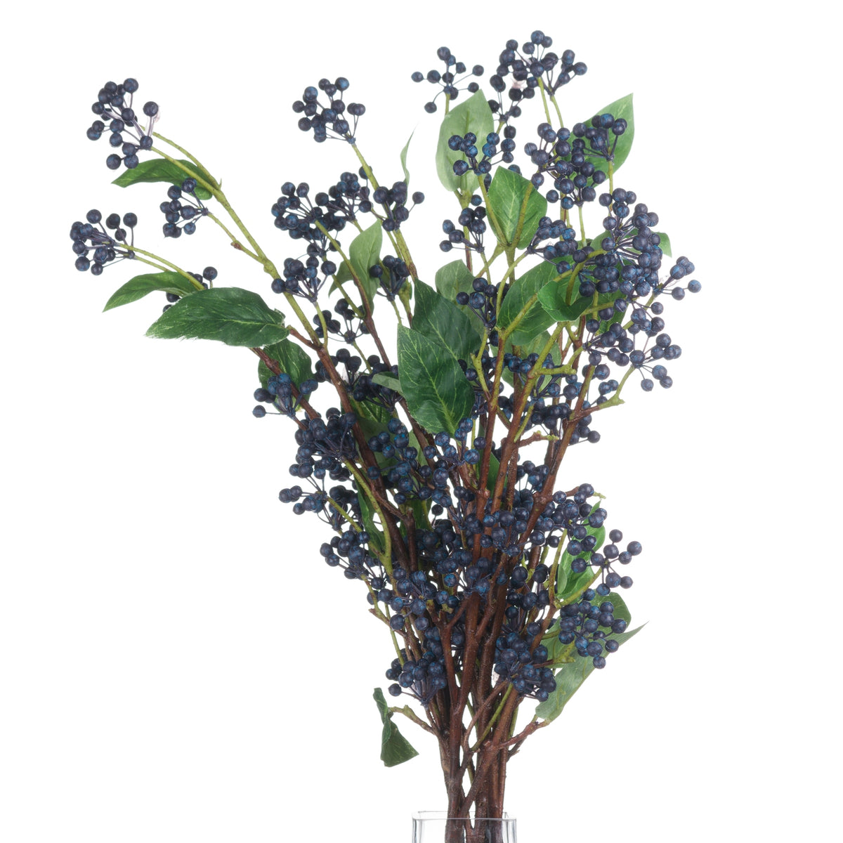 Viburnum Berry image 3