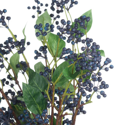 Viburnum Berry image 4