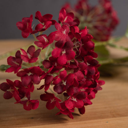 Red Autumnal Viburnum image 3