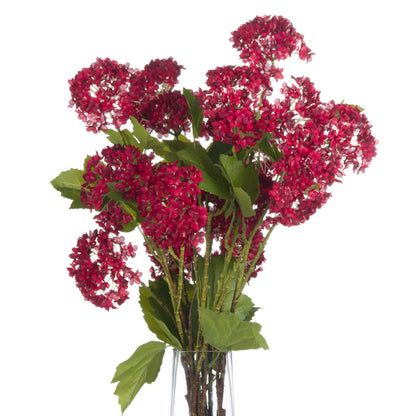 Red Autumnal Viburnum image 4