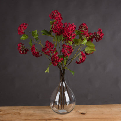 Red Autumnal Viburnum image 1