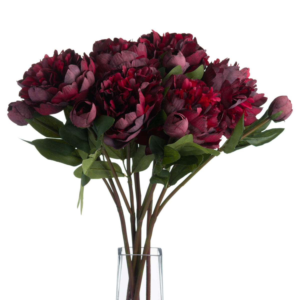 Burgundy Peony Rose image 3