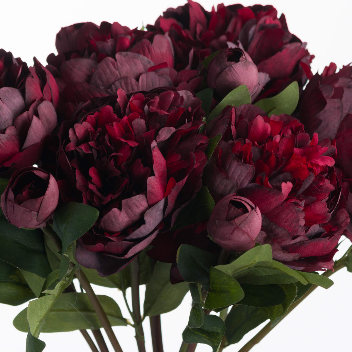 Burgundy Peony Rose image 5