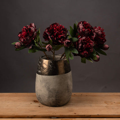 Burgundy Peony Rose image 1