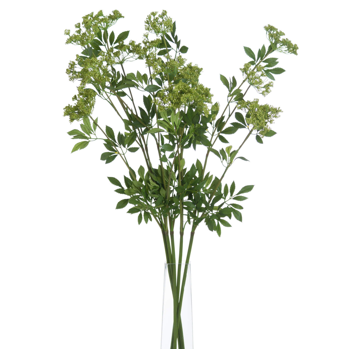 Faux Cow Parsley Ammi image 3