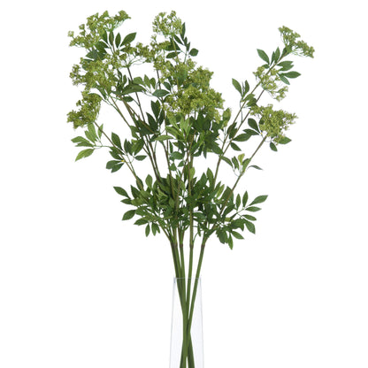 Faux Cow Parsley Ammi image 3