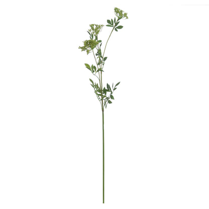 Faux Cow Parsley Ammi image 4