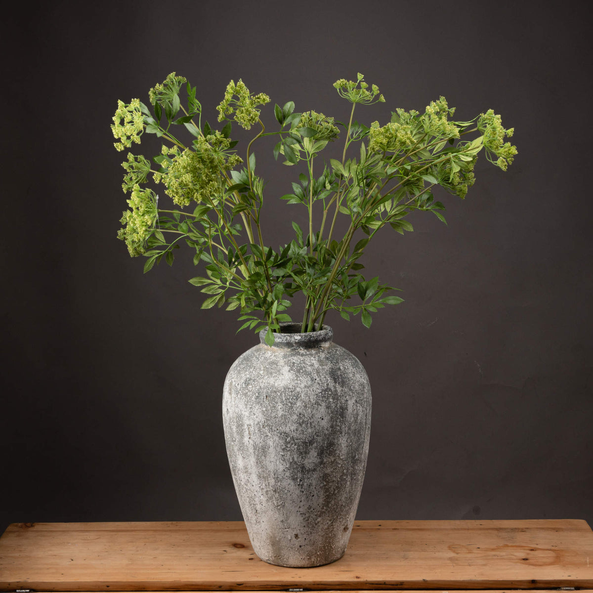 Faux Cow Parsley Ammi image 1