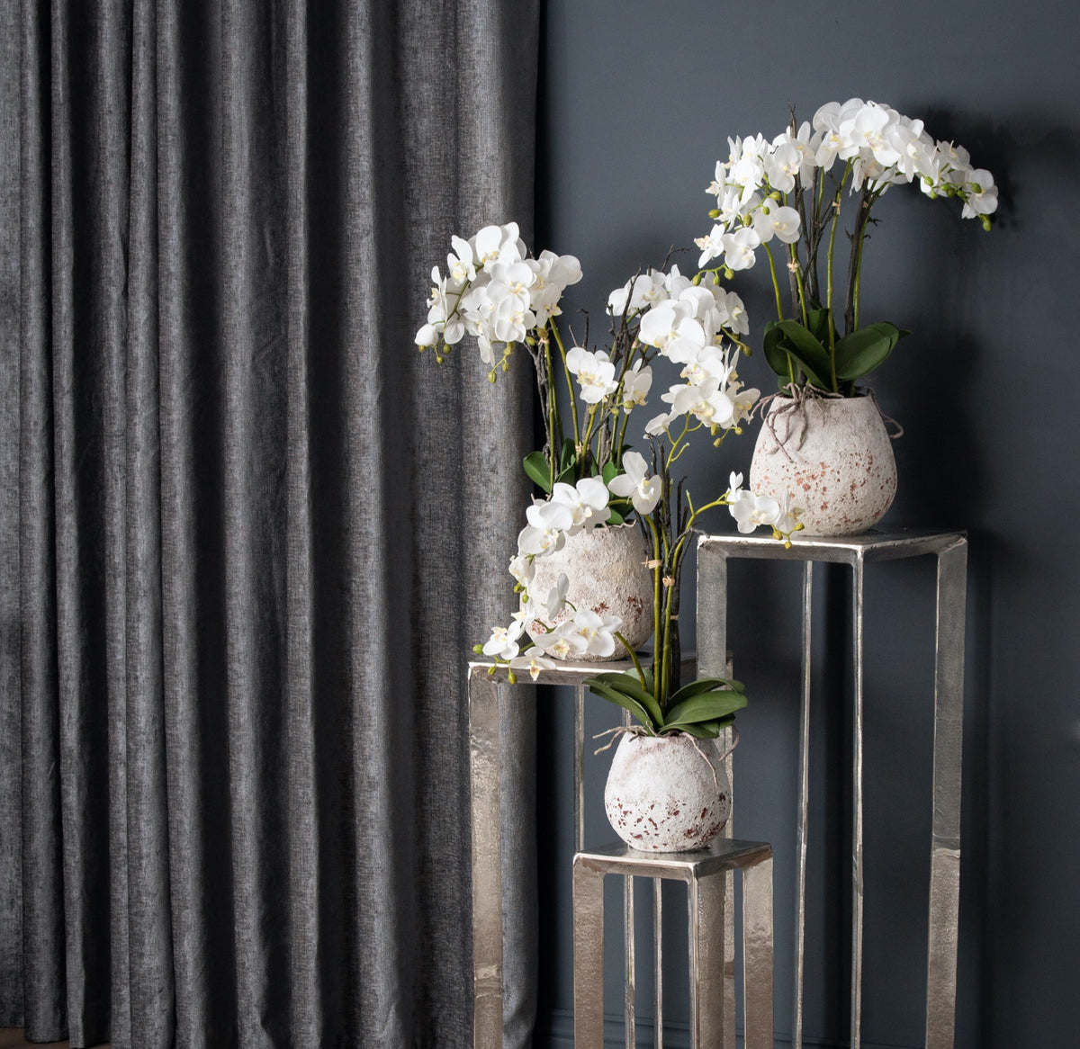 White Orchid In Stone Pot image 4