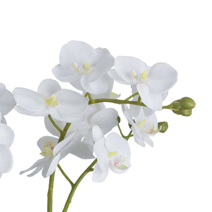 White Orchid In Glass Pot image 3