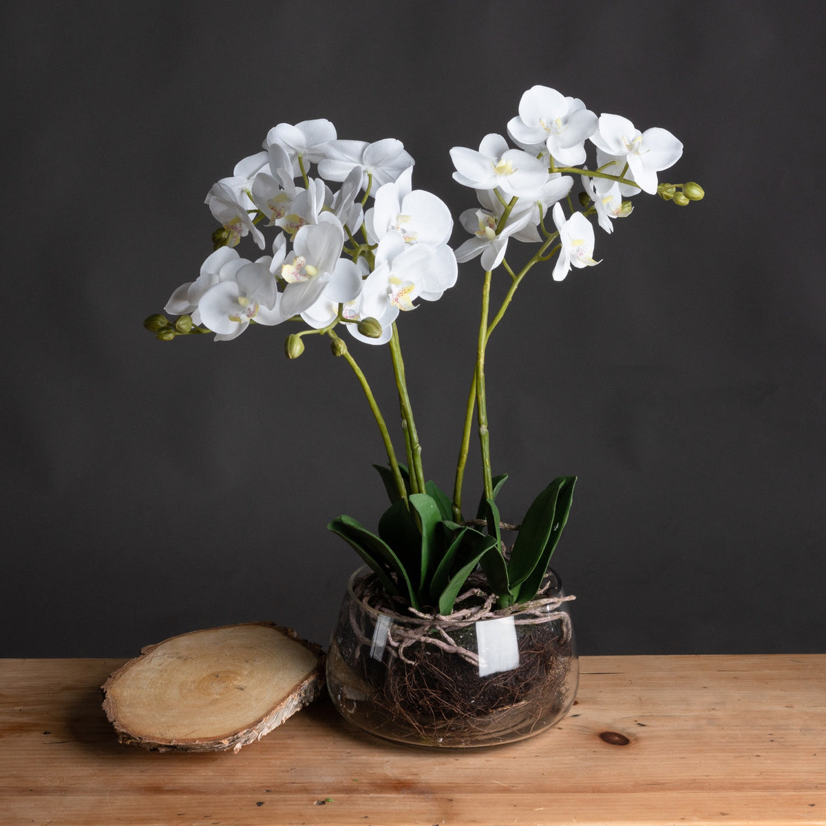White Orchid In Glass Pot image 1