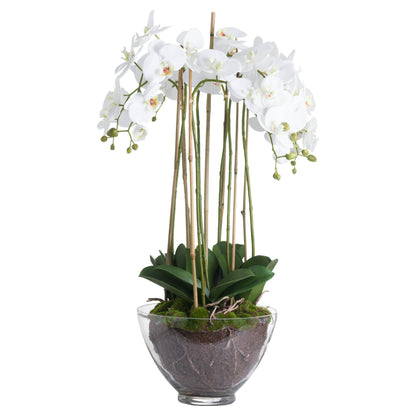 Large White Orchid In Glass Pot image 2