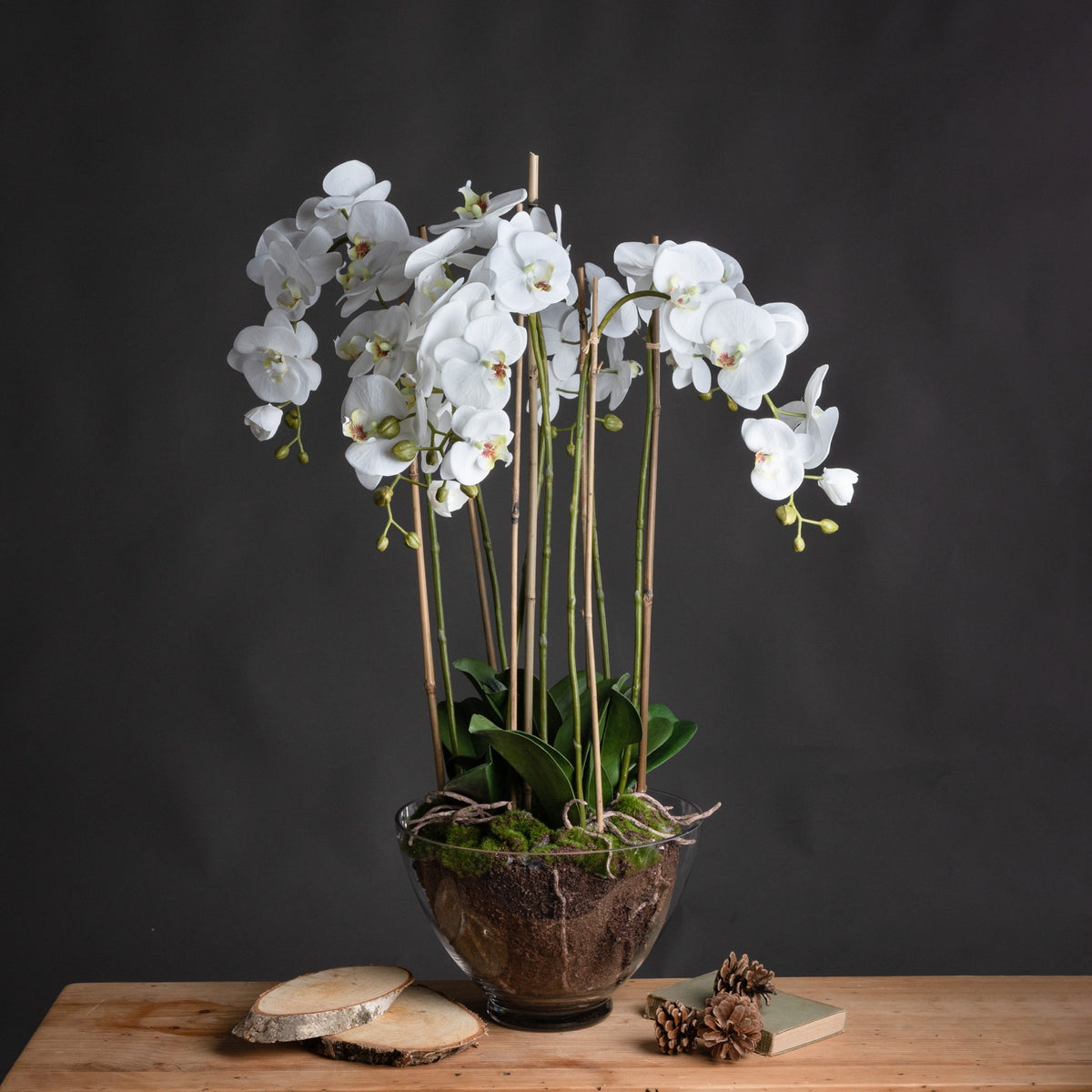 Large White Orchid In Glass Pot image 1