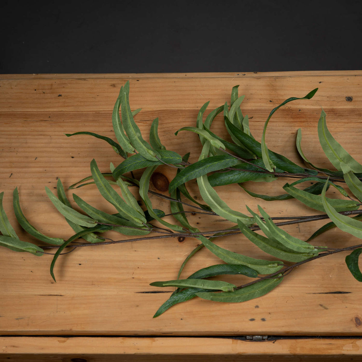 Eucalyptus Nicholii Spray image 2